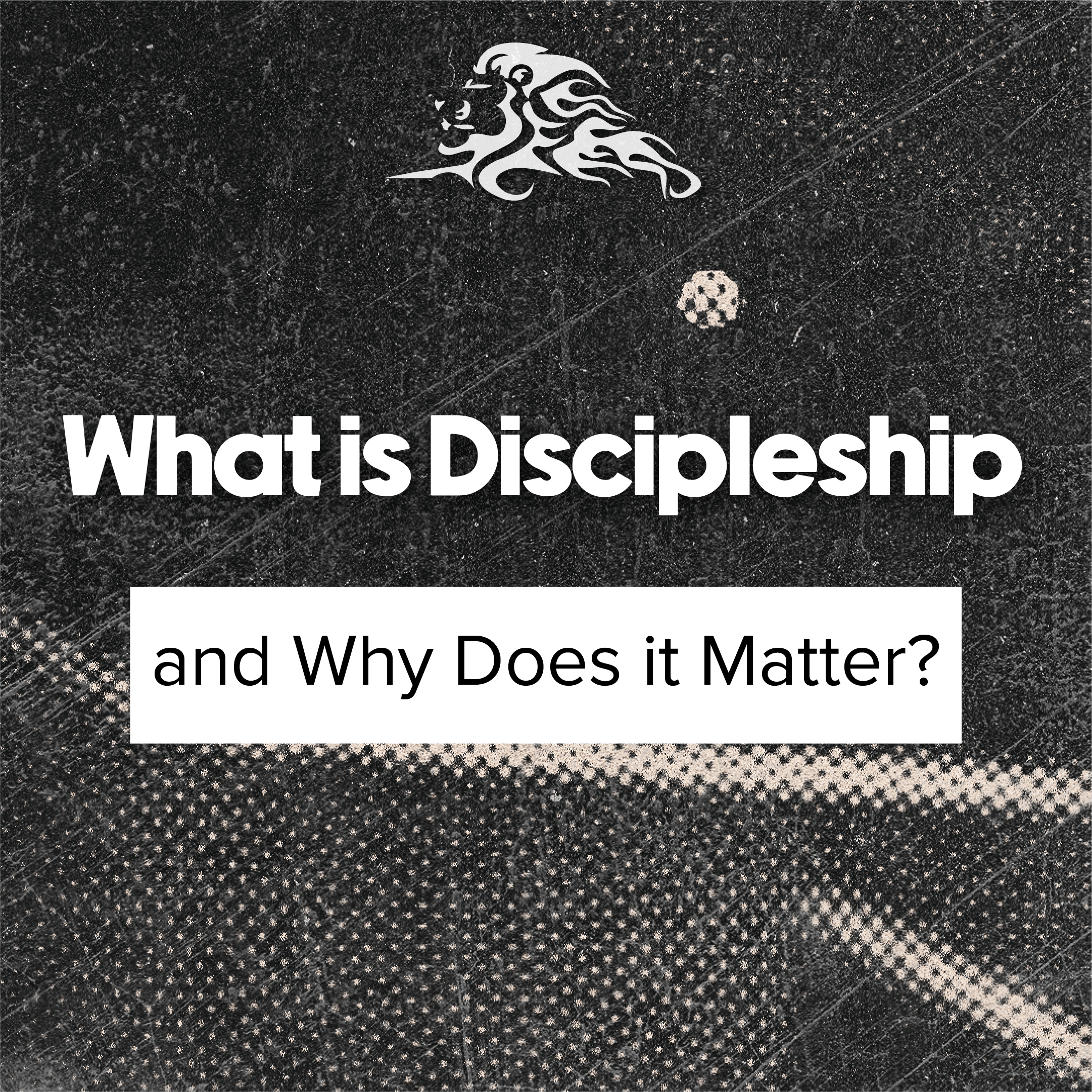 What Is Discipleship and Why Does It Matter?
