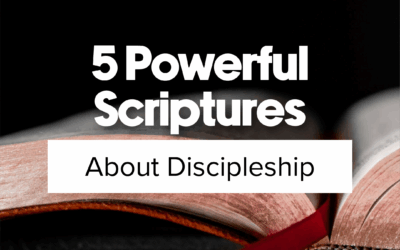 5 Powerful Scriptures About Discipleship | LCU
